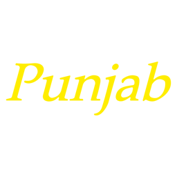 Punjab Balti House logo.